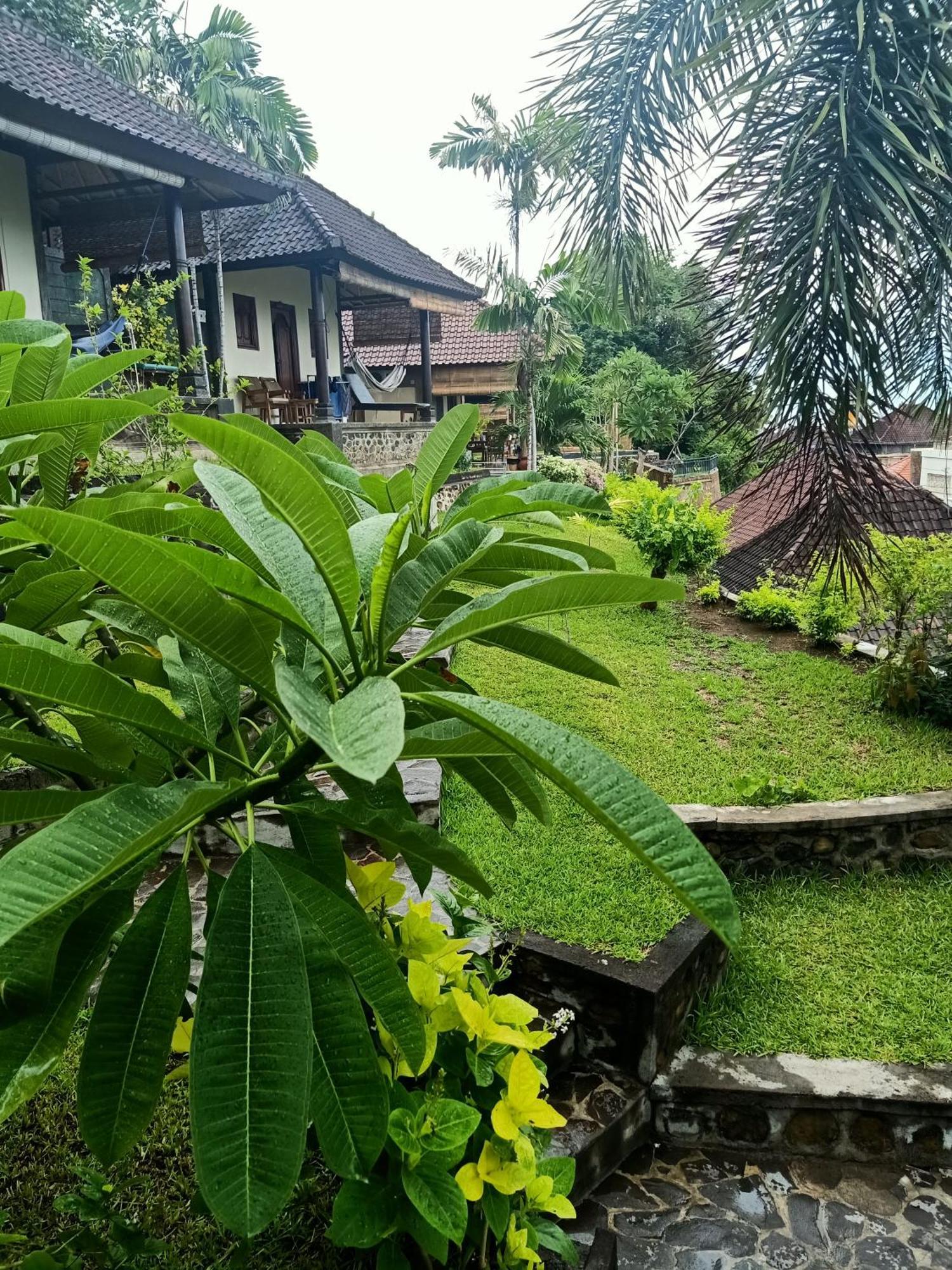 Bamboo Bali Apartment อาเม็ด ห้อง รูปภาพ
